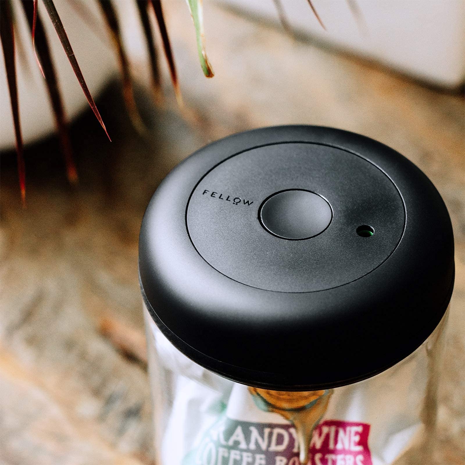 Clear glass vacuum canister with a black lid with 'Fellow' branding on lid.