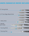 Set of Avanta Damascus knives with their names and sizes on a gray background