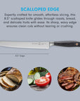 Serrated knife with scalloped edge with description on a gray background, surrounded by images of sliced bread, vegetables, and meat.