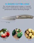 Knife with text about blade grind and uses, surrounded by images of vegetables with grey background