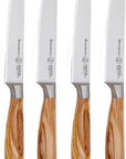 Set of four knives with wooden handles on a white background