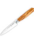 Knife with a wooden handle on a white background