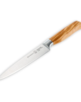Knife with a wooden handle on a white background