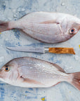 Two raw fish on a textured surface with a knife.