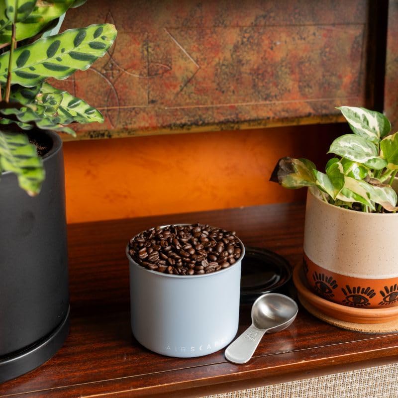 Container of coffee beans with a scoop on a wooden surface with plants.