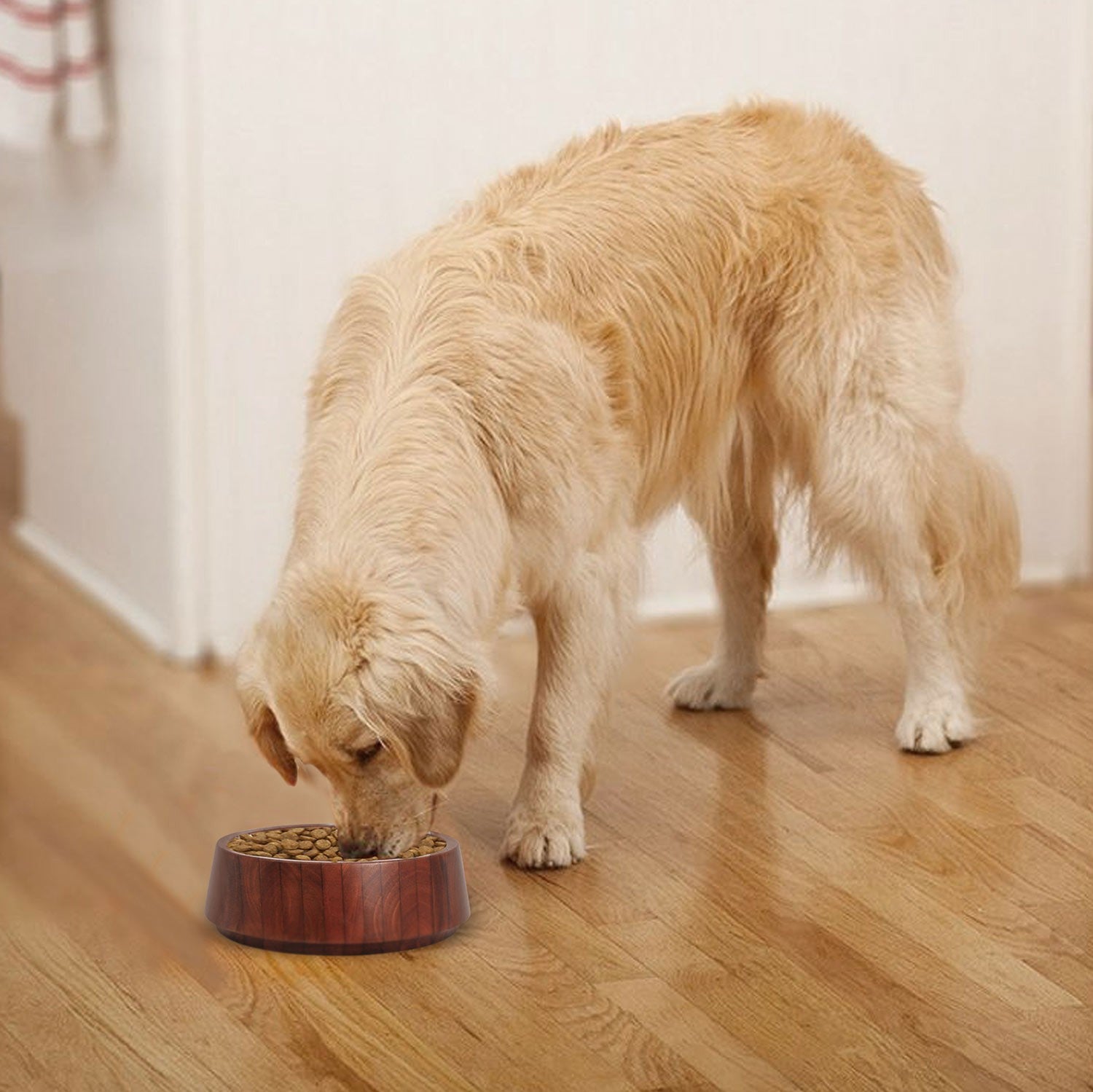 Dog eating from a bowl on a wooden floor