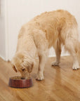 Dog eating from a bowl on a wooden floor