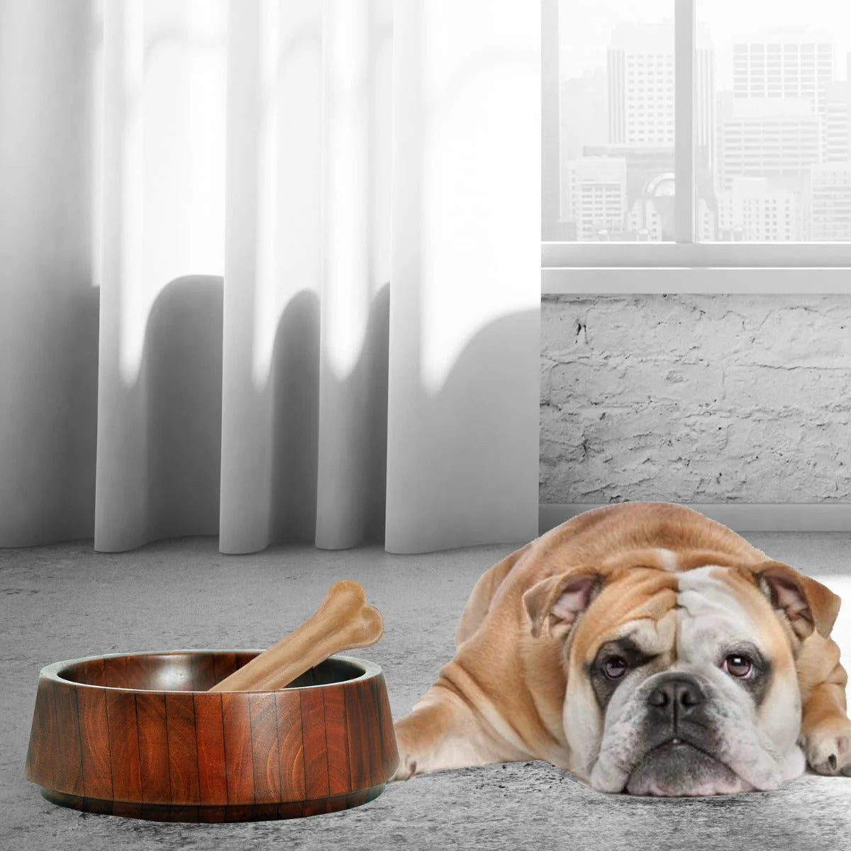 Dog lying on a carpet next to a wooden bowl and bone in a room with light gray curtains and white walls.