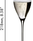 Champagne flute with measurements on a white background
