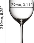 Wine glass with dimensions labeled on a white background