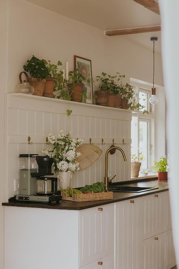 A bright, modern kitchen corner with white shaker-style cabinets, a dark countertop, a brass faucet, a coffee maker, and a shelf lined with potted green plants and small framed art.