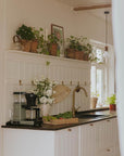 A bright, modern kitchen corner with white shaker-style cabinets, a dark countertop, a brass faucet, a coffee maker, and a shelf lined with potted green plants and small framed art.