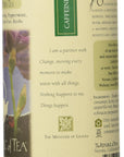 The Republic of Tea Ginseng Peppermint Herbal Tea Bags 36 Ct.